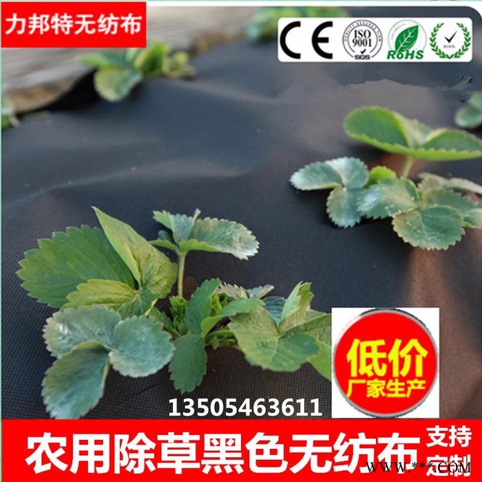 【除草无纺布】低价厂家批发生产 农用无纺布 纺粘无纺布 黑色PP无纺布图4