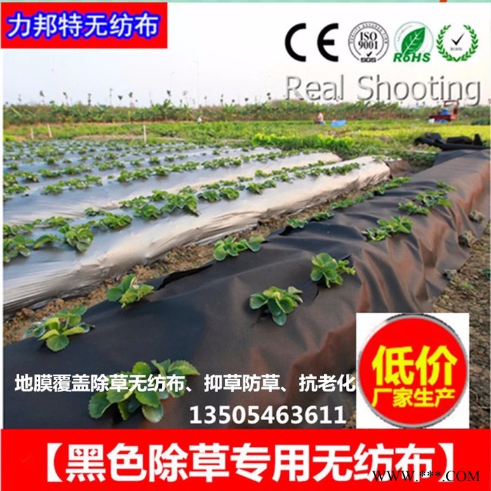 【除草无纺布】低价厂家批发生产 农用无纺布 纺粘无纺布 黑色PP无纺布