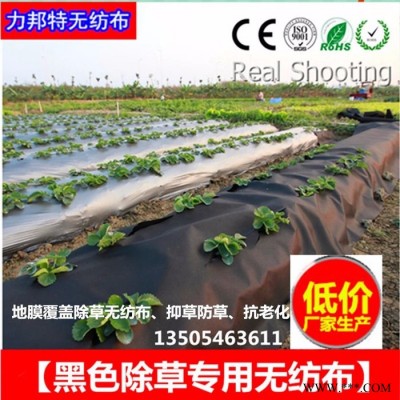 【除草无纺布】低价厂家批发生产 农用无纺布 纺粘无纺布 黑色PP无纺布
