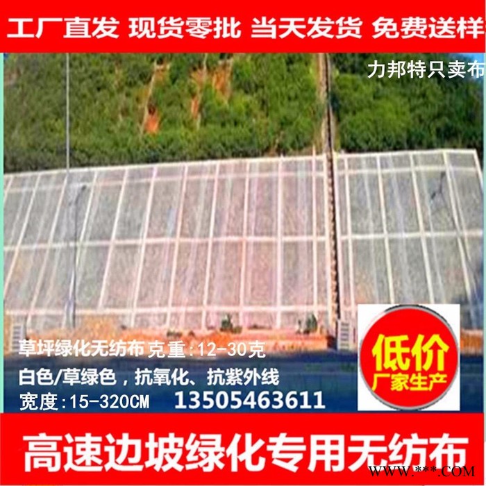 【城市绿化无纺布】山东低价 无纺布厂生产 丙纶纺粘布 草坪无纺布图2