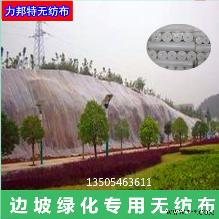 【城市绿化无纺布】山东低价 无纺布厂生产 丙纶纺粘布 草坪无纺布图3