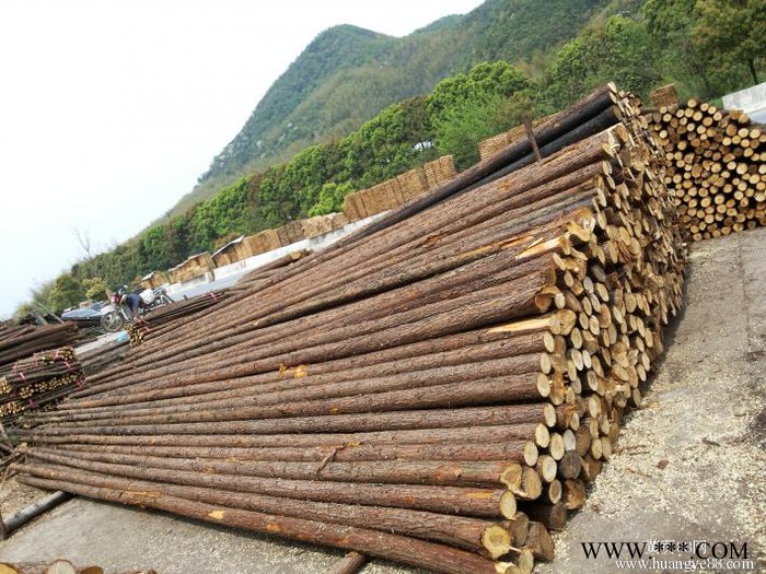 北京大量批发河道防汛松木桩、杉木桩、园林景观绿化杉木杆杉杆，竹竿，草绳、草帘、竹笆片、筋笆片、无纺布、防尘网、土盖网图2