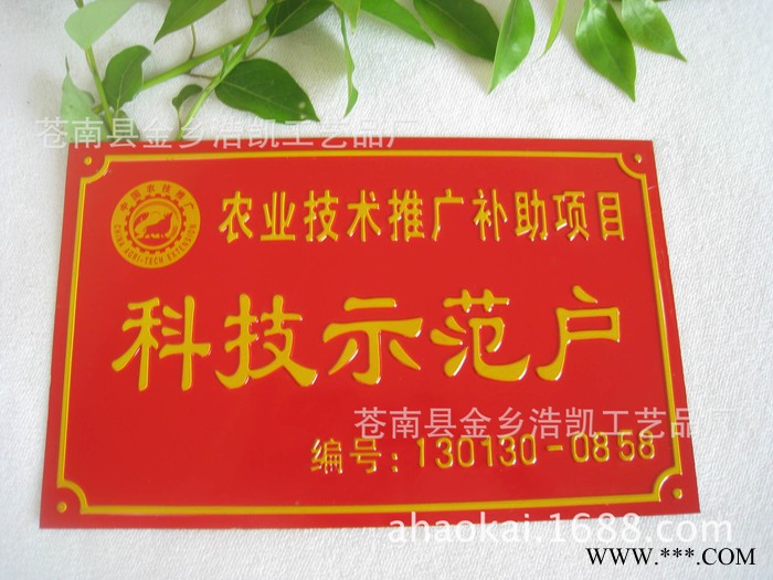 订制凹凸冲压高光标牌 金属铭牌图2