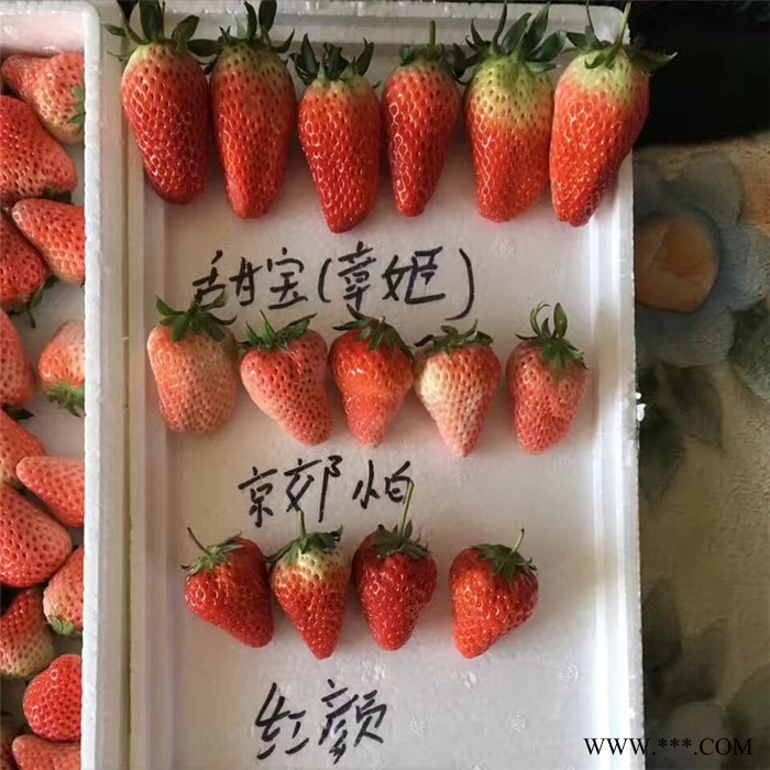 供应无纺布壁挂美植袋毛毡育苗袋收纳袋 悬挂式草莓种植袋图6