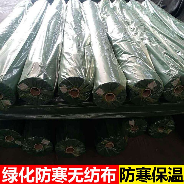 防寒无纺布 园林绿化无纺布 绿化防寒布 防寒无纺布图2