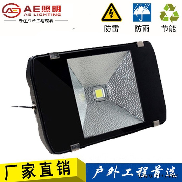 AE照明AE-TGD-02广告牌,户外亮化,庭院照明,球场照明,遂道照明100W200W、150W正白图4