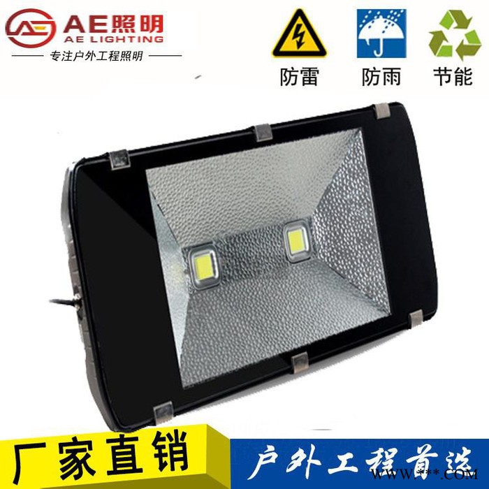 AE照明AE-TGD-02广告牌,户外亮化,庭院照明,球场照明,遂道照明100W200W、150W正白图2