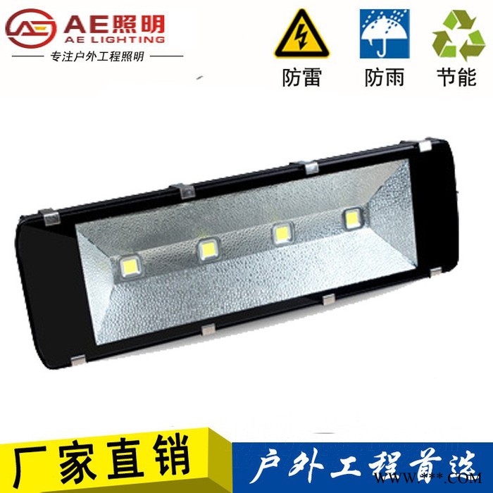 AE照明AE-TGD-02广告牌,户外亮化,庭院照明,球场照明,遂道照明100W200W、150W正白图3