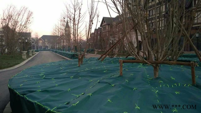 大量批发：无纺布.绿化无纺布.防寒布.防寒无纺布等园林绿化材料图3