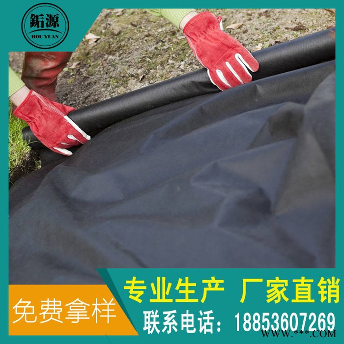 【黑色无纺布】除草黑色无纺布 农业非织布图2