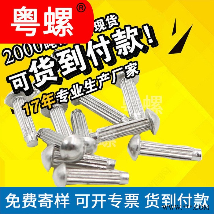 佛山定做316铆钉 滚花gb827铝标牌铆钉 不锈钢铆钉制造商 非标定做图5