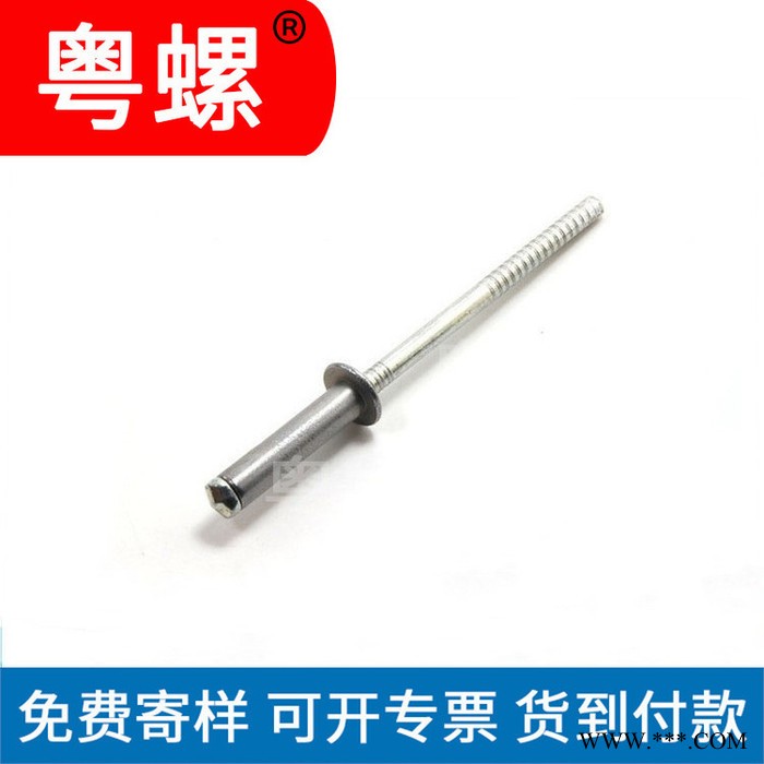 佛山定做316铆钉 滚花gb827铝标牌铆钉 不锈钢铆钉制造商 非标定做图3