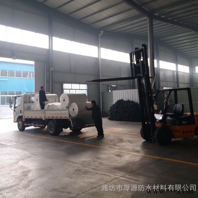 山东无纺布厂家批发 环保购物袋无纺布 包装无纺布图2