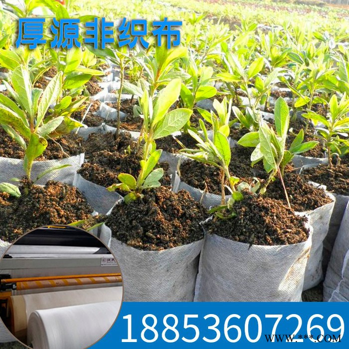 无纺布厂家销售 育苗育秧无纺布 保温保湿非织布图2