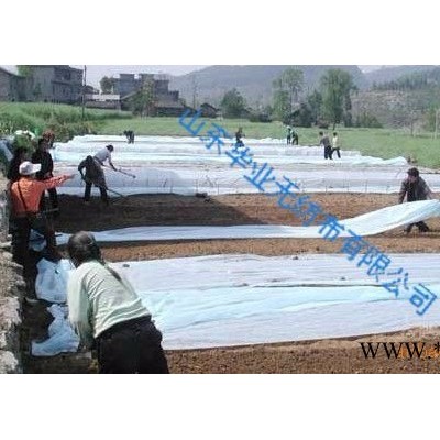 华业 农用无纺布