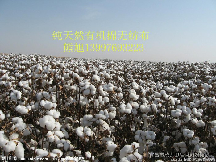 天然有机棉无纺布 纯有机棉水刺无纺布 纯**美棉无纺布 纯棉交叉铺网无纺布 卫生巾表层全棉无纺布 婴儿纯棉柔巾 网孔纯棉图7