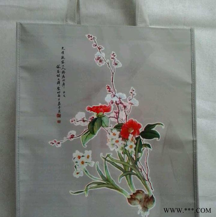 供应无纺布袋,超市购物袋,环保袋 腹膜无纺布袋 ，无纺布手提袋图3