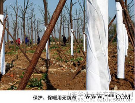 pp无纺布图6