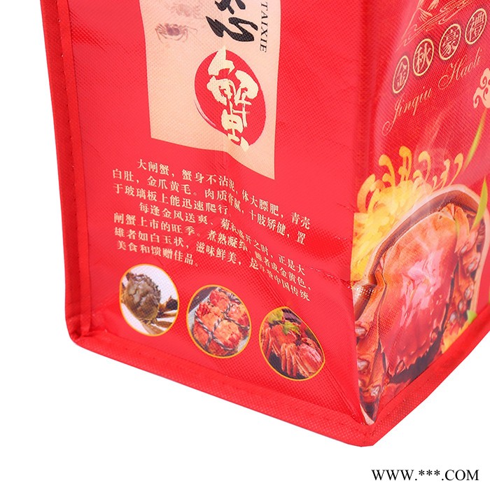 港投包装 温州无纺布保温袋定制 保温袋订做 批发订制无纺布保温袋价格