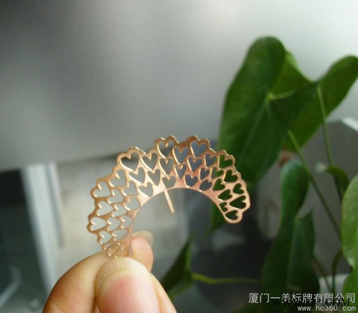 供应厦门腐蚀标牌 腐蚀镂空标牌 金属镂空工艺品 金属腐蚀镂空标牌图1