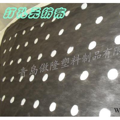 专业生产PP 黑色打孔无纺布--