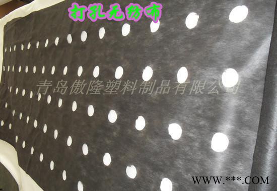 专业生产PP 黑色打孔无纺布--图2
