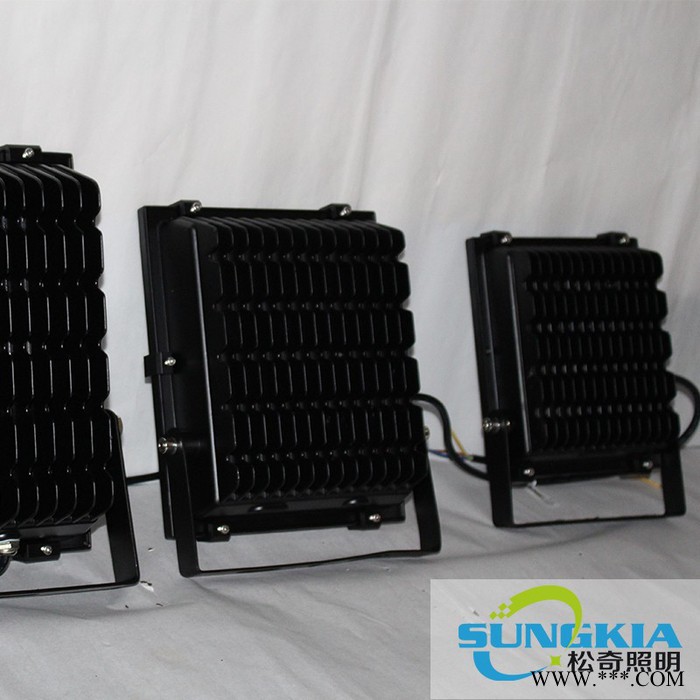 SK**TG-F13-30W 卡扣款投光灯30W/户外工程灯/广告牌专用灯 新款图3