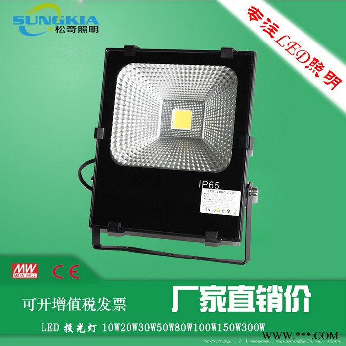 SK**TG-F13-30W 卡扣款投光灯30W/户外工程灯/广告牌专用灯 新款图2