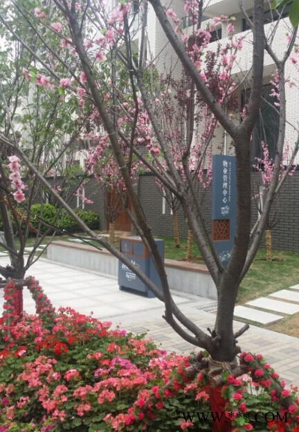 郑州长远标识标牌/导视牌/花草牌/广告牌厂家/图4