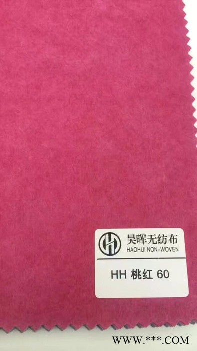 广州昊晖水刺布厂及丽新无纺布
