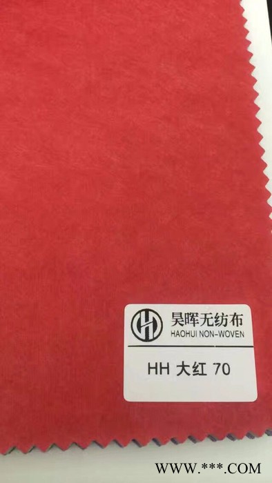 广州昊晖水刺布厂及丽新无纺布图3