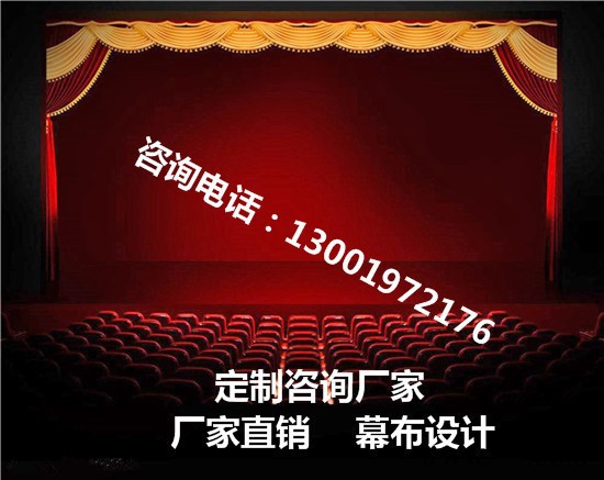 专业定制电动舞台幕布会场背景幕布礼堂背景幕布旗帜徽标/租赁会议旗帜徽标图2