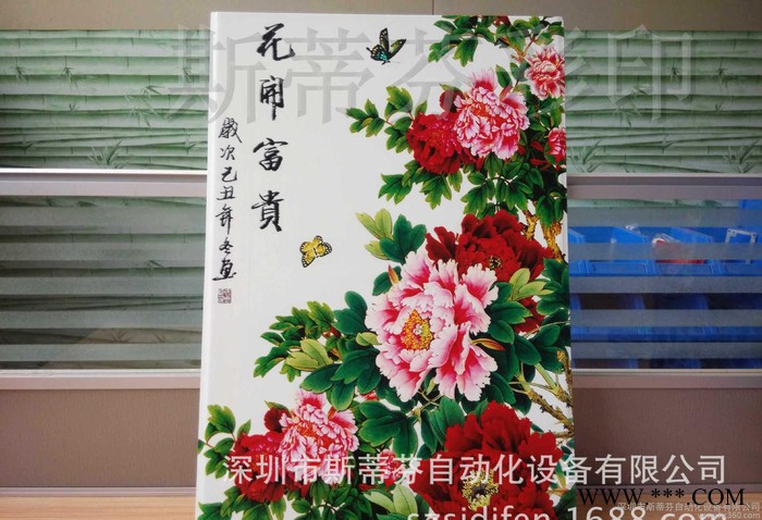 斯蒂芬个性浮雕平板喷绘机 高速喷绘彩印机图2