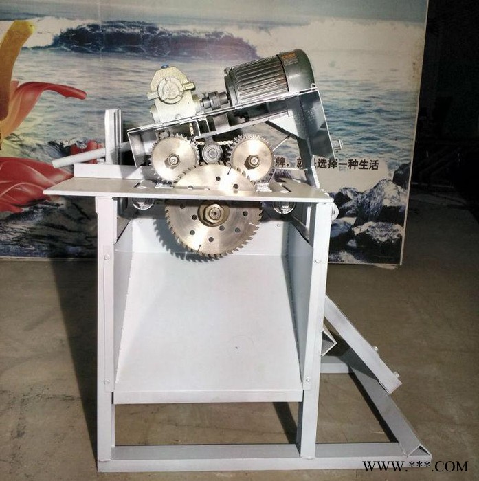 浩鼎多片锯  大型多片锯 方木多片锯 圆木多片锯  木龙骨多片锯 木工雕刻机 变频箱多片锯图1