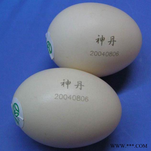 江苏二氧化碳打标机价格，非金属打标机，木头刻字机，皮革打标，玻璃刻字打标图8