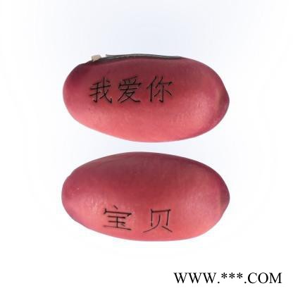 激光打标机激光刻字机激光标刻机金属打标机非金属激光打标机图3