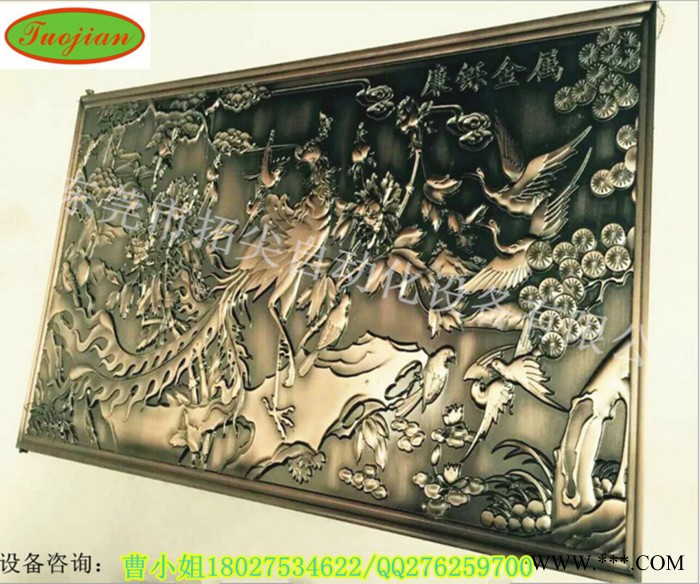 拓尖TJ-2030电动雕刻机6061铝合金门窗门花雕刻机c大型铝围栏屏风雕刻机 别墅大门雕刻机图2