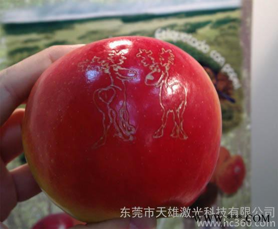 供应东莞水果激光雕刻机图2