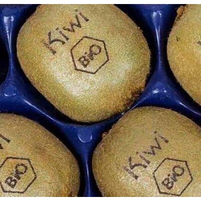 榴莲激光打码机椰子壳激光雕刻机苹果二氧化碳打标机