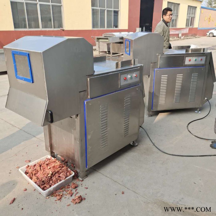 义康QK-200型冻肉块切割机 肥肉切块机 牛五花切块机图5