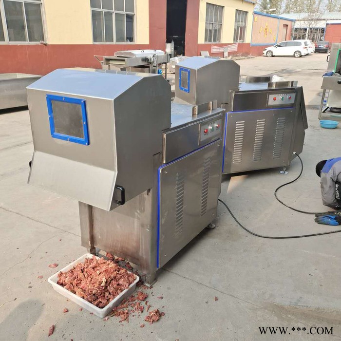 义康QK-200型冻肉块切割机 肥肉切块机 牛五花切块机图8