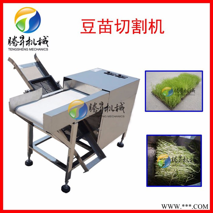 腾昇供应豆芽加工设备 绿豆芽切割机 菜苗豆苗切段机 节省人工