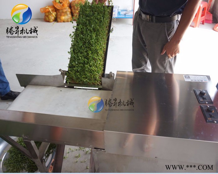 腾昇供应豆芽加工设备 绿豆芽切割机 菜苗豆苗切段机 节省人工图2