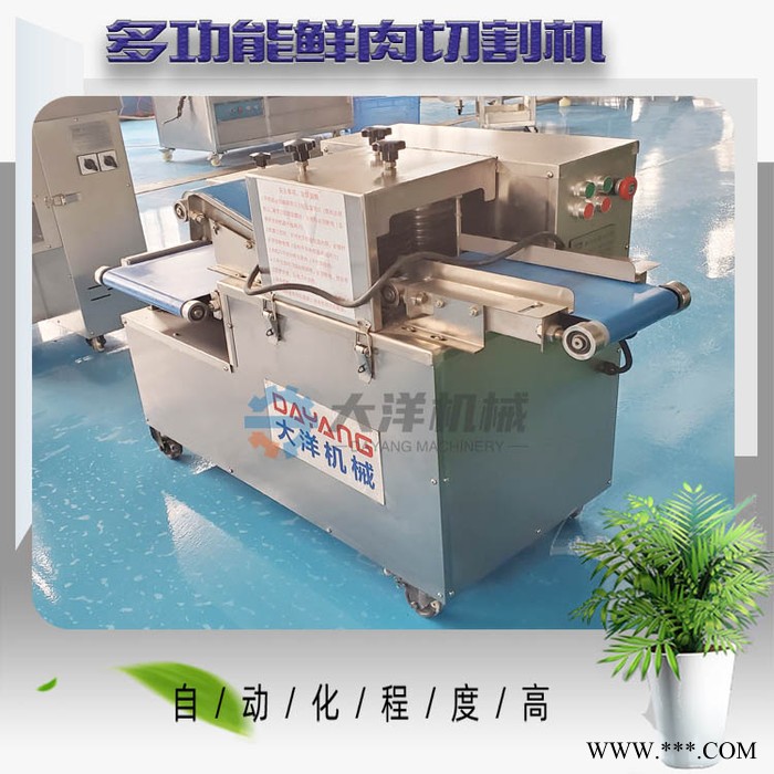 大洋牌定制款鲜肉切条切丁一体机 一次成型款鲜肉切割机图8