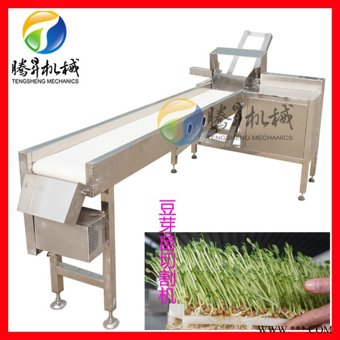 腾昇厂家定制款苗菜机 苗菜机切割机器 苗菜机视频 苗菜机效果