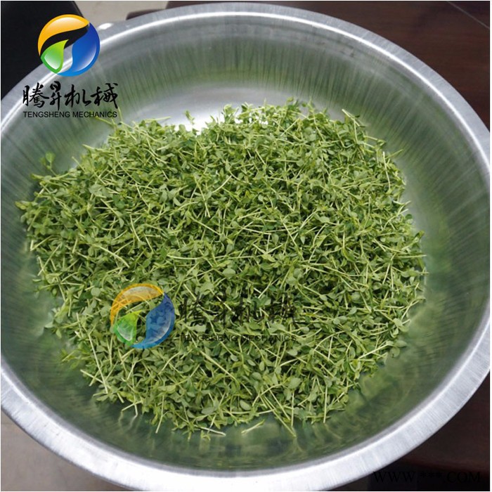 腾昇厂家定制款苗菜机 苗菜机切割机器 苗菜机视频 苗菜机效果图4