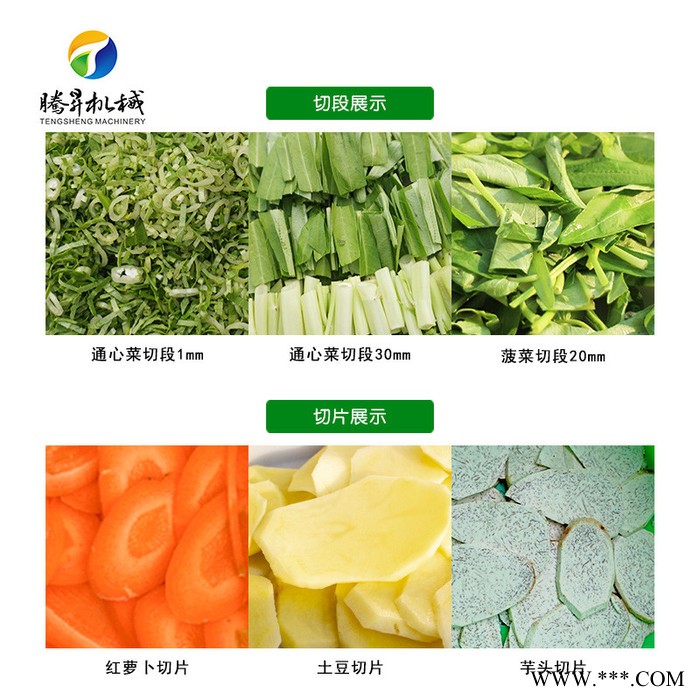 腾昇供应TS-Q118台湾进口多功能切菜机 商用双头根茎类叶菜类切割机 土豆切片 菠萝切片机 蔬菜加工设备图6