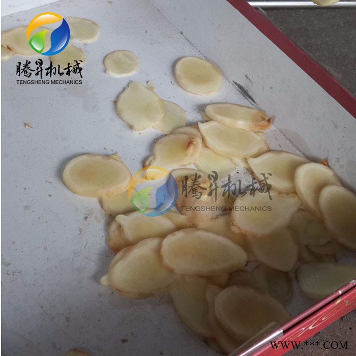 小型果蔬加工设备 蔬菜切割机 酸菜切丝机 香蕉切片机 全年促销图3