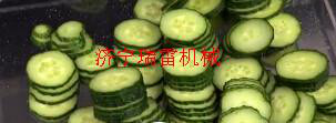 枞阳县多功能切菜机瑞雷 用于切片切丁切条多功能球根茎类切菜机鲜笋切割机图7