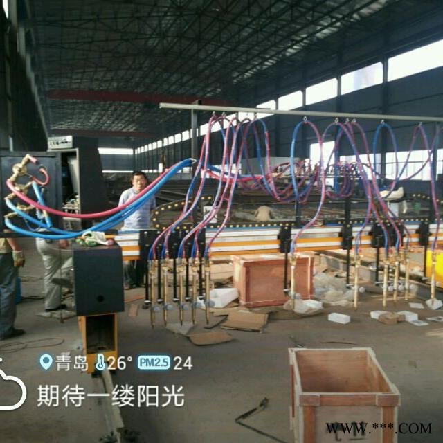 火焰切割机龙门式数控火焰切割机数控切割机碳钢铁板下料切割氧气**切割机湖北武汉睿智鑫数控GSM系列30切割机**图5